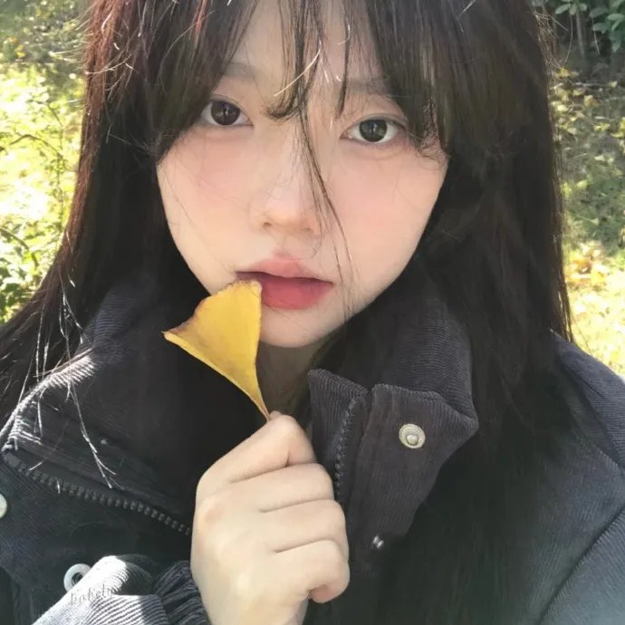 姐妹四城