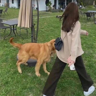 烈火伤痕